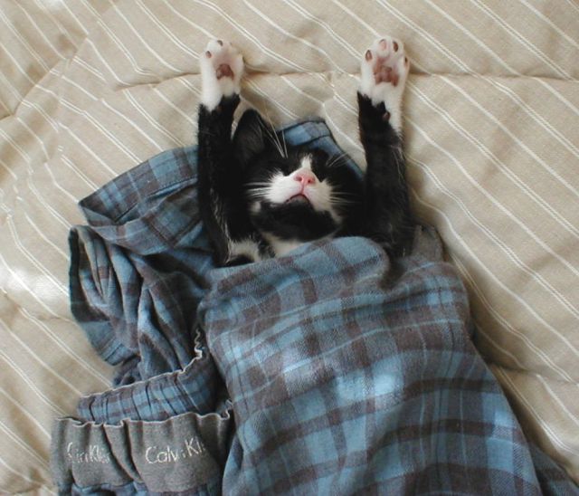 Daily picdump WEEKEND EDITION