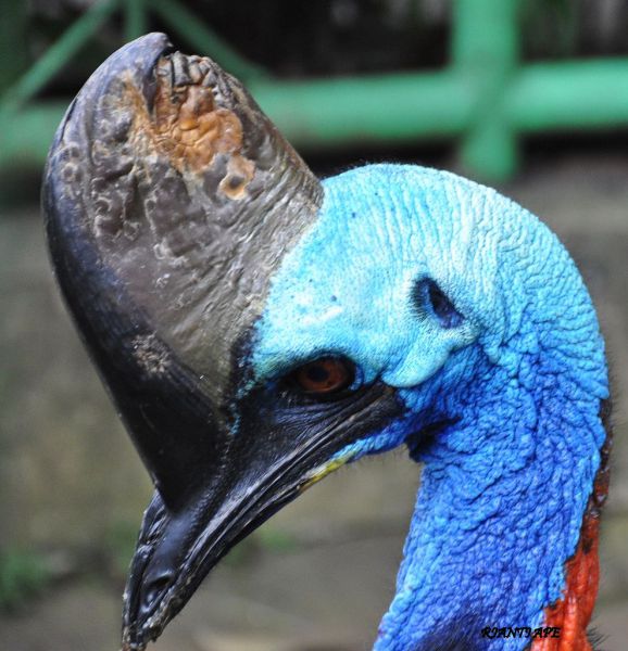 Daily picdump WEEKEND EDITION