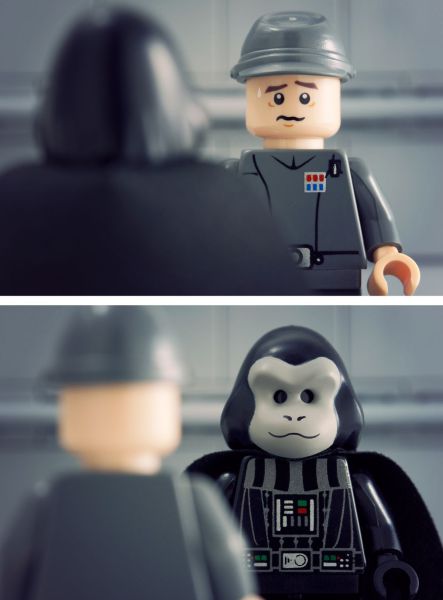 Daily picdump WEEKEND EDITION