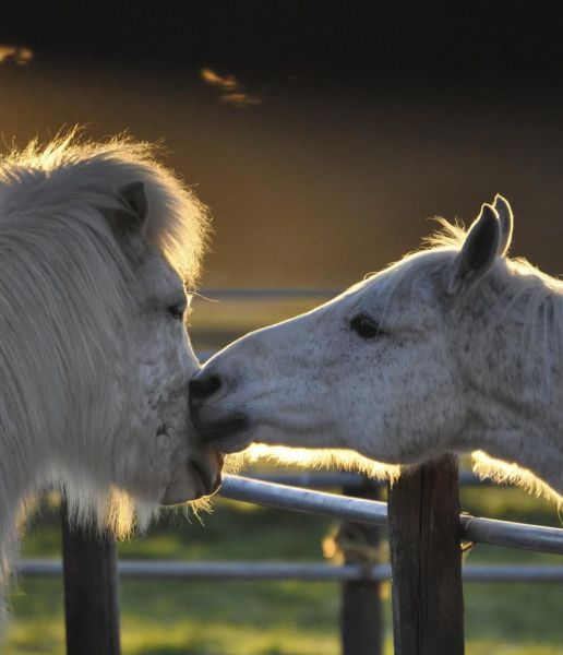 Daily picdump WEEKEND EDITION