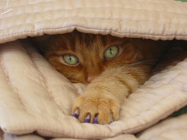 Daily picdump WEEKEND EDITION