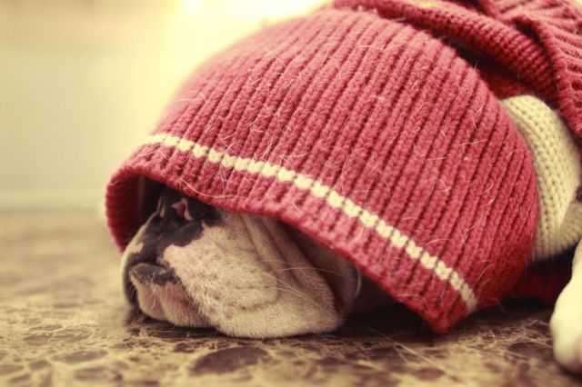 Daily picdump WEEKEND EDITION