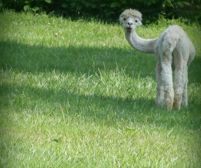 Daily picdump WEEKEND EDITION