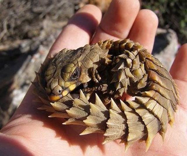 Daily picdump WEEKEND EDITION