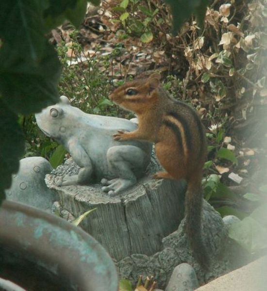 Daily picdump [WEEKEND EDITION]