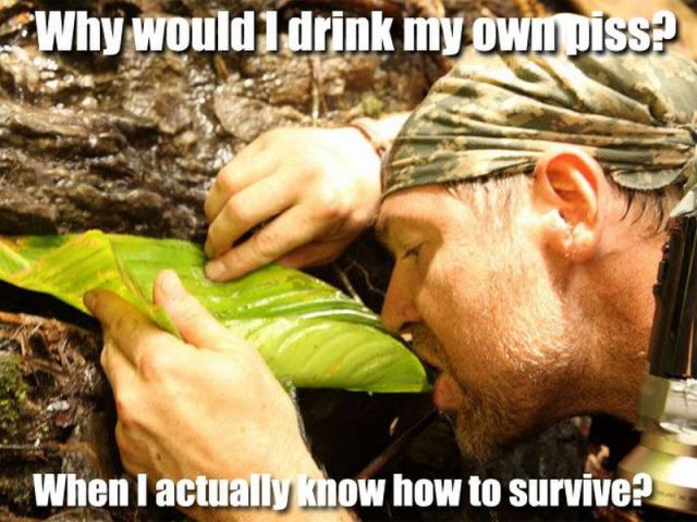 Daily picdump [WEEKEND EDITION]