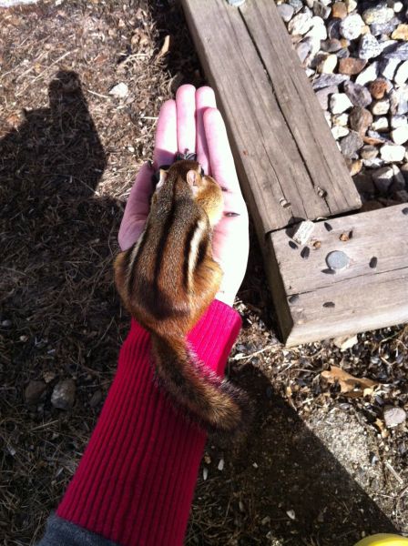 Daily picdump [WEEKEND EDITION]