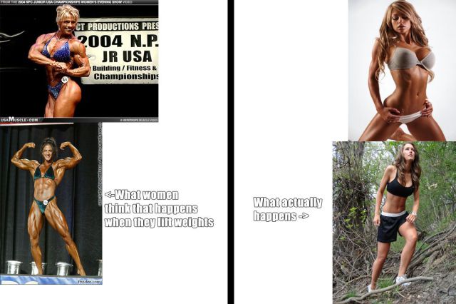 Daily picdump [WEEKEND EDITION]