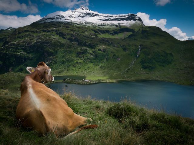 Daily picdump [WEEKEND EDITION]