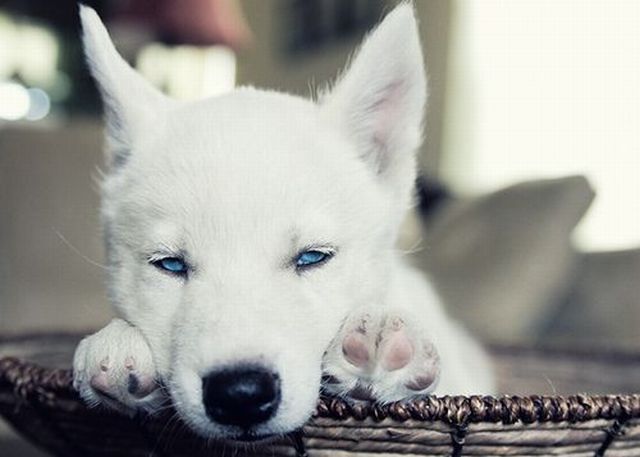 Daily picdump [WEEKEND EDITION]