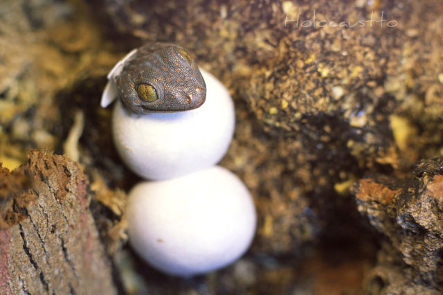 Daily picdump [WEEKEND EDITION]