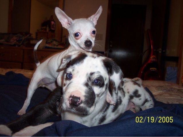 Daily picdump [WEEKEND EDITION]