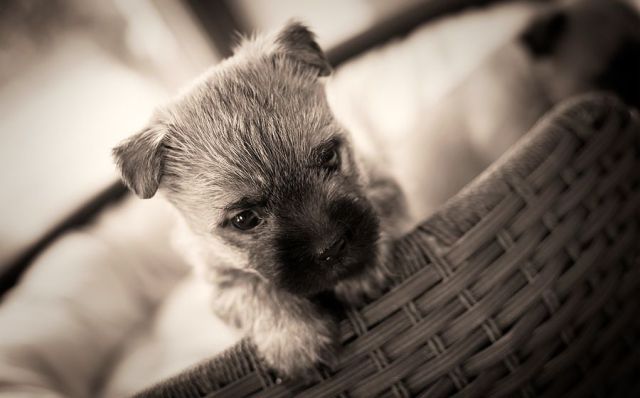 Daily picdump [WEEKEND EDITION]