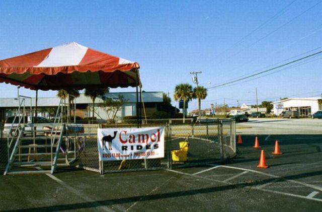 Only in America Scenes Prove Unique and Disturbing