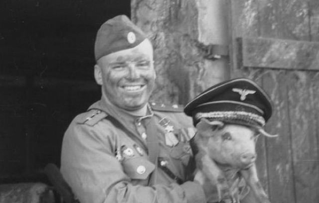 Daily picdump [WEEKEND EDITION]