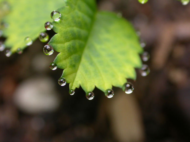 Daily picdump [WEEKEND EDITION]