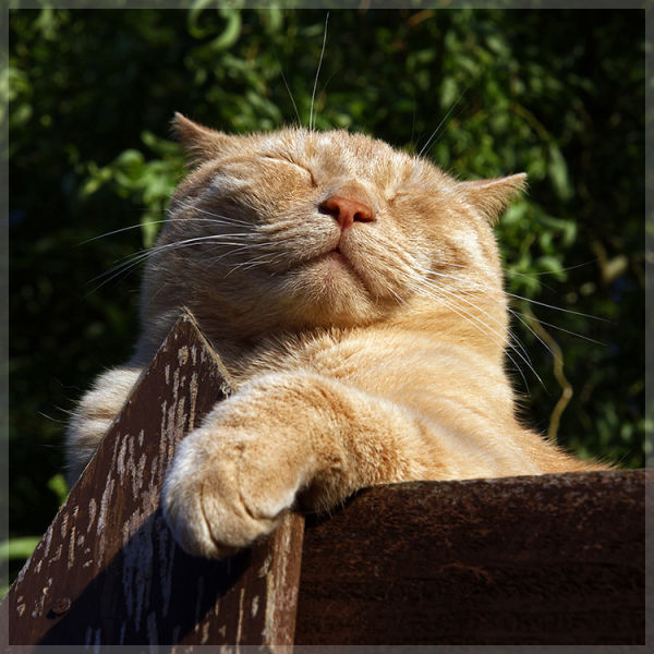 Daily picdump [WEEKEND EDITION]