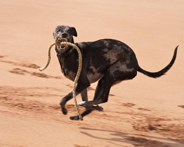 Daily picdump [WEEKEND EDITION]