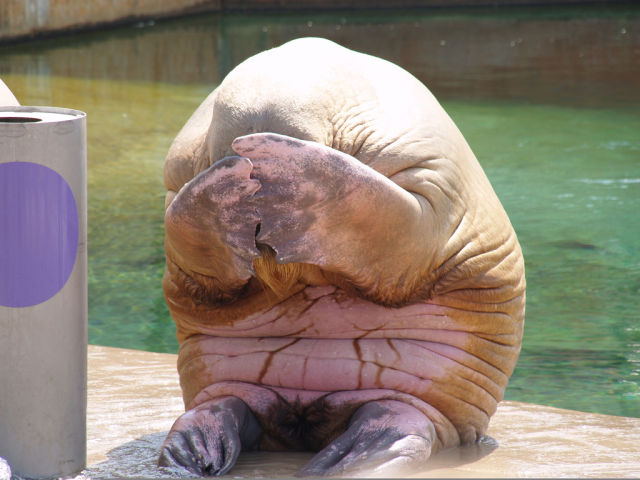 Daily picdump [WEEKEND EDITION]