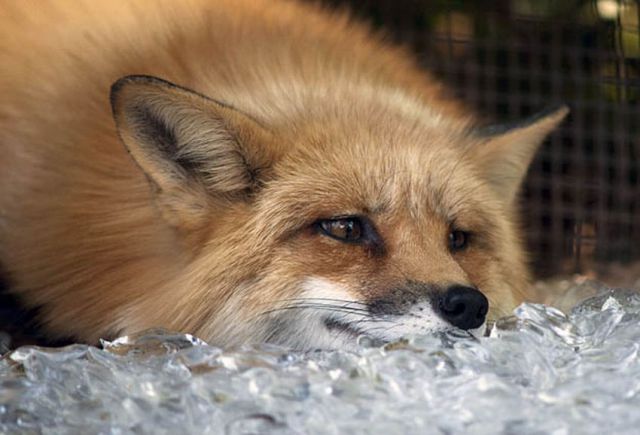 Daily picdump [WEEKEND EDITION]