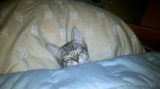 Daily picdump [WEEKEND EDITION]