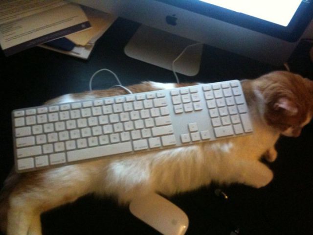 Daily Picdump