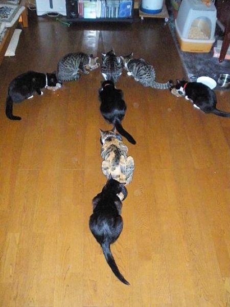 Morning Picdump