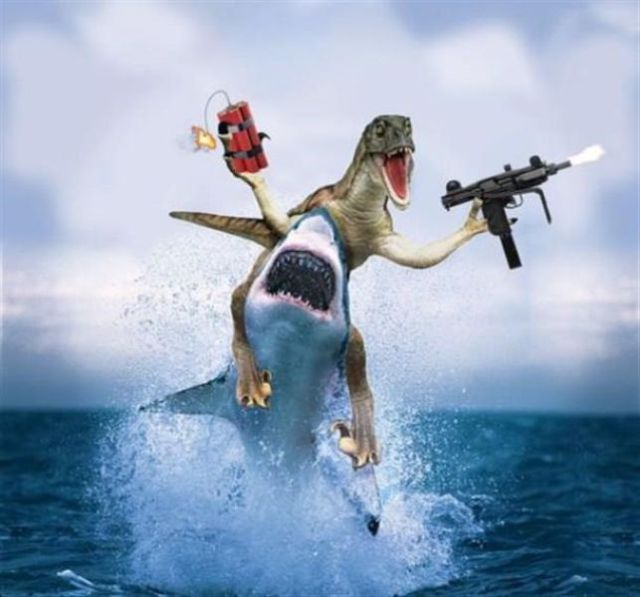 Morning Picdump
