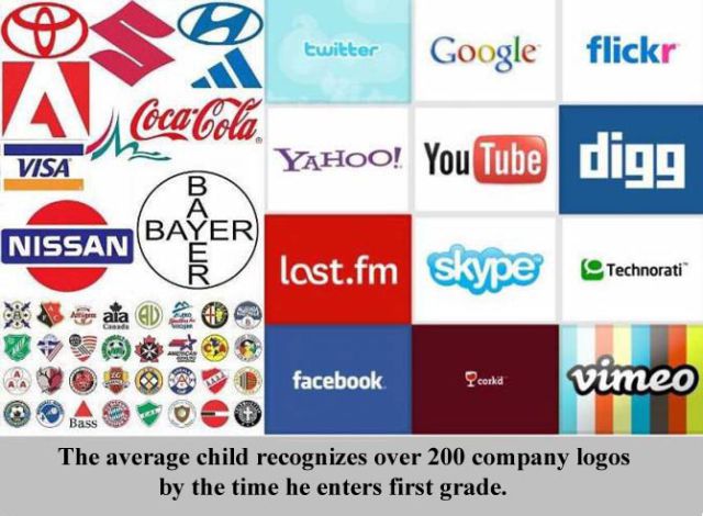 Interesting Facts about Everything