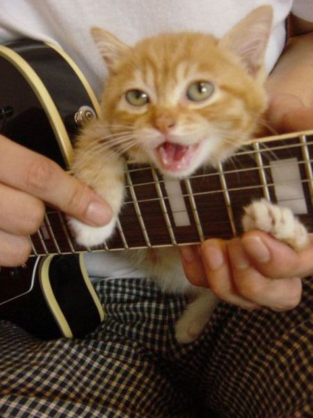 Morning Picdump