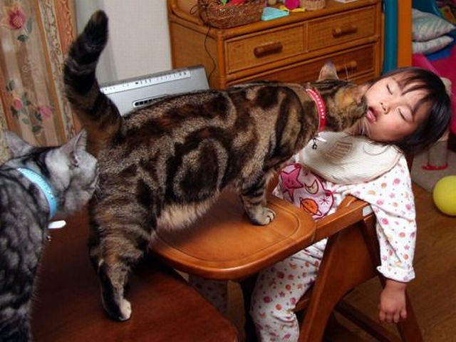 Daily Picdump
