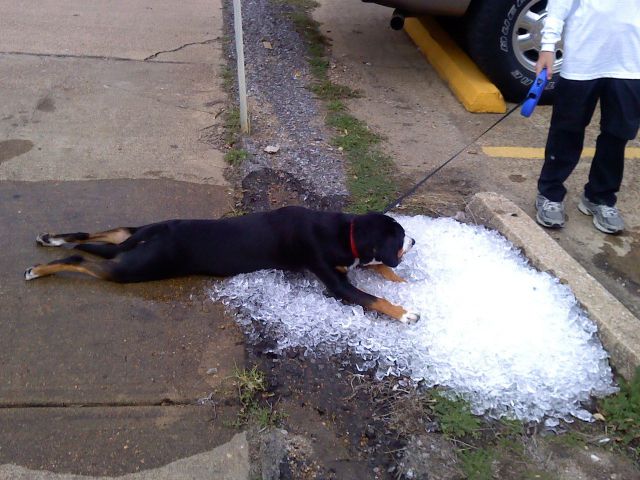 Morning Picdump
