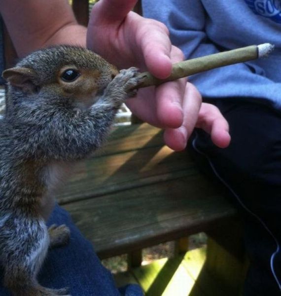 Morning Picdump