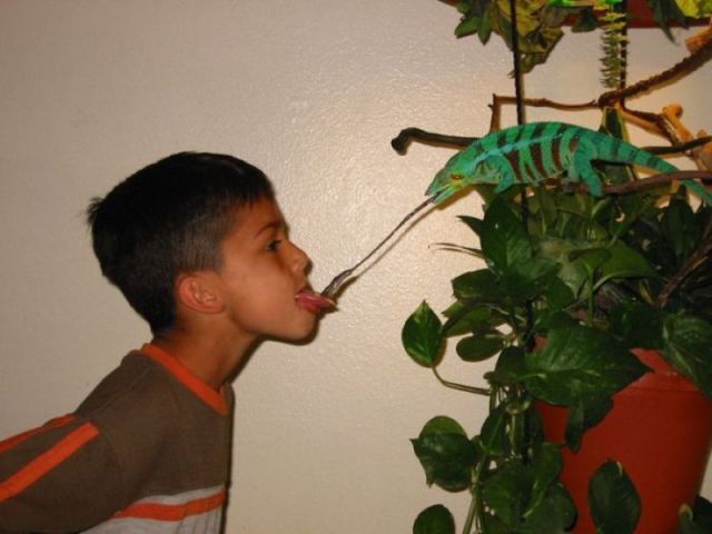 Morning Picdump