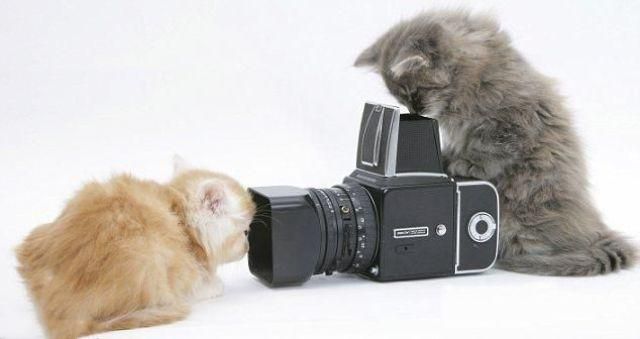 Morning Picdump