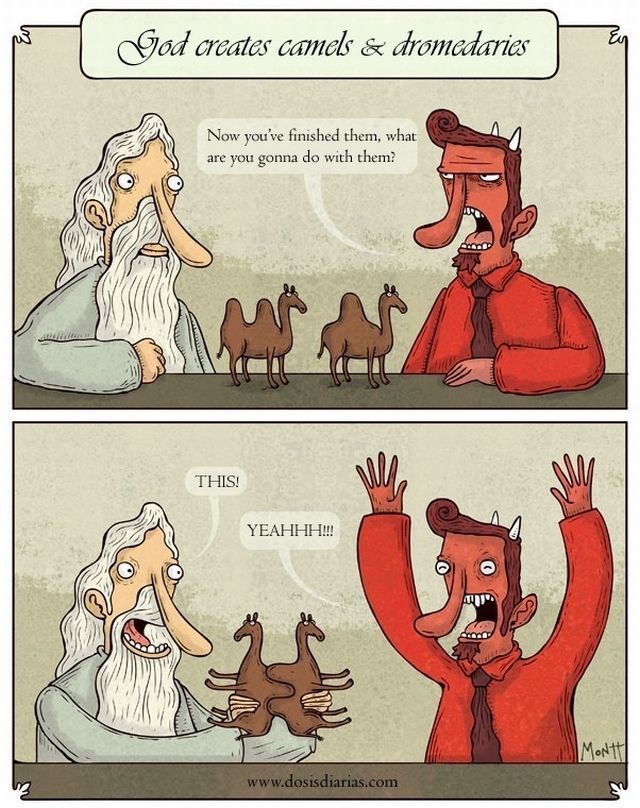 Morning Picdump