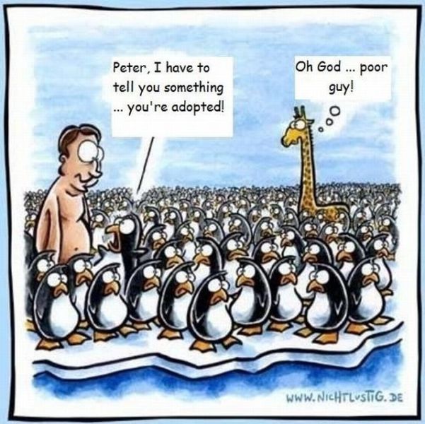 Morning Picdump
