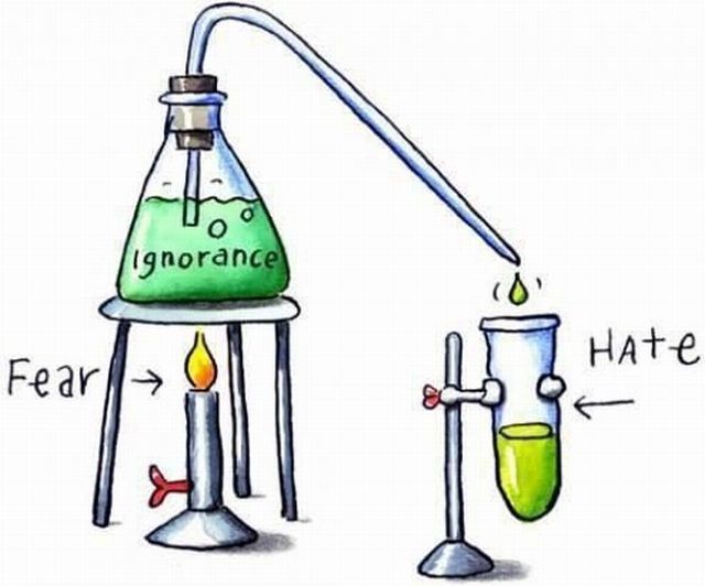 Daily Picdump [WEEKEND EDITION]