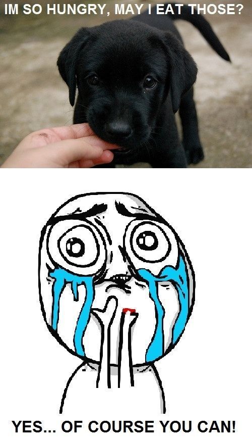 Daily Picdump [WEEKEND EDITION]