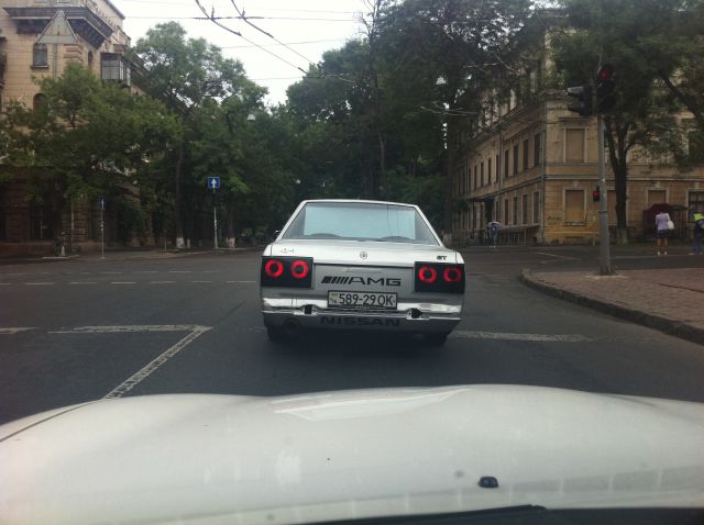 Daily Picdump [Visitors