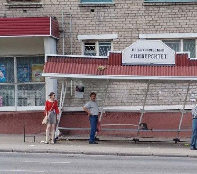 Hilarious Construction Fails