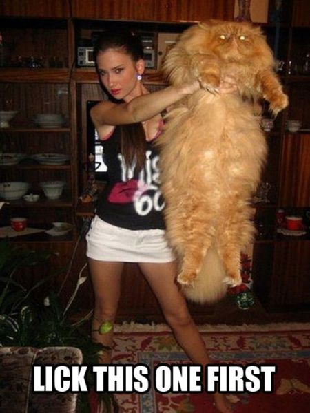 Funny Word and Pic Combos