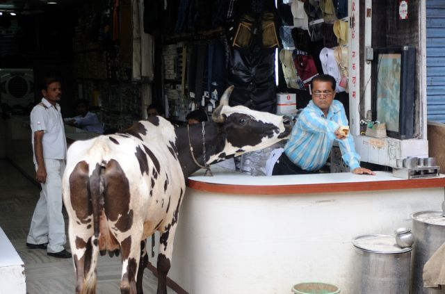 Only in India. Part 3