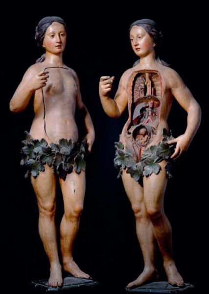 Crazy Is as Crazy Does