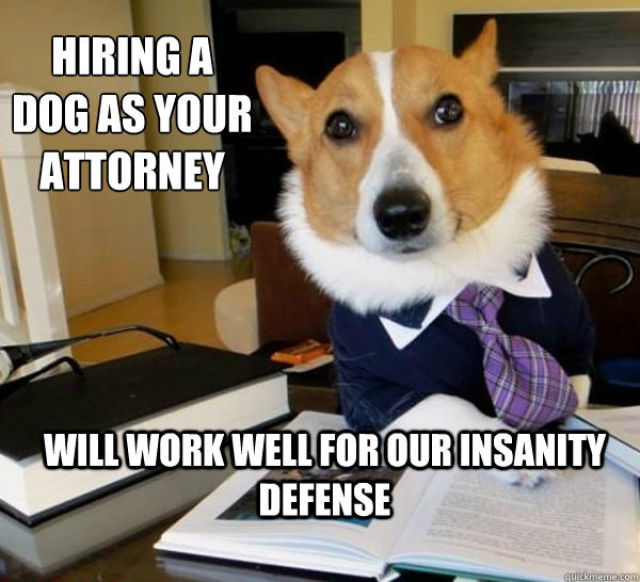 The Hilarious Lawyer Dog Meme