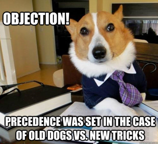 The Hilarious Lawyer Dog Meme