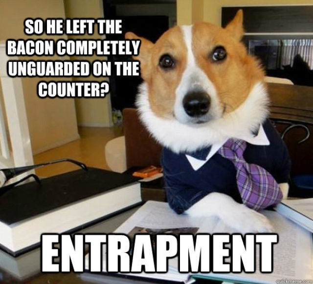 The Hilarious Lawyer Dog Meme