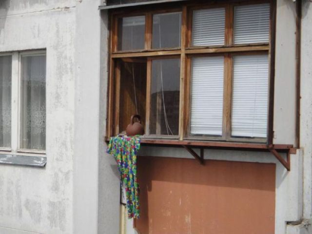 Morning Picdump