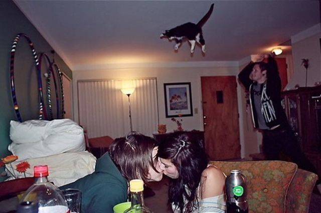 Daily Picdump [WEEKEND EDITION]