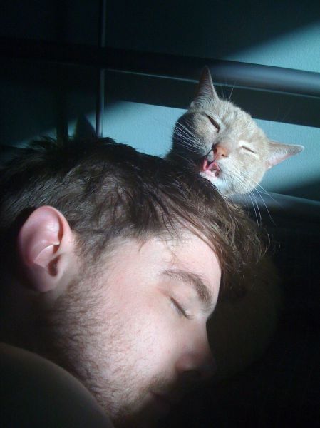 Daily Picdump